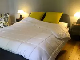 "Camélia"